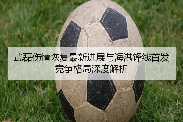 武磊伤情恢复最新进展与海港锋线首发竞争格局深度解析